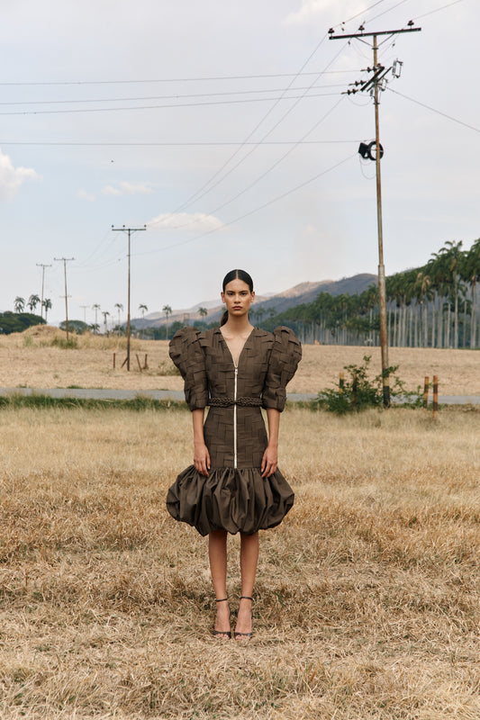 Guarapo Dress